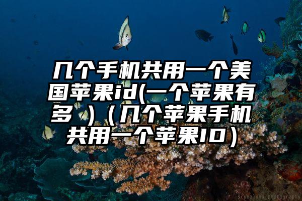 几个手机共用一个美国苹果id(一个苹果有多 )（几个苹果手机共用一个苹果ID）