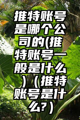 推特账号是哪个公司的(推特账号一般是什么 )（推特账号是什么?）