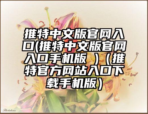 推特中文版官网入口(推特中文版官网入口手机版 )（推特官方网站入口下载手机版）