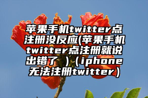 苹果手机twitter点注册没反应(苹果手机twitter点注册就说出错了 )（iphone无法注册twitter）