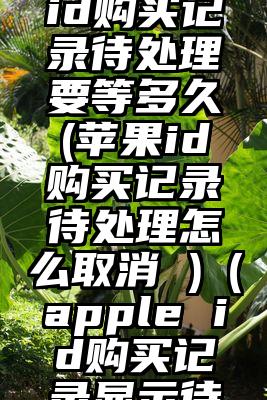 美国苹果id购买记录待处理要等多久(苹果id购买记录待处理怎么取消 )（apple id购买记录显示待处理）