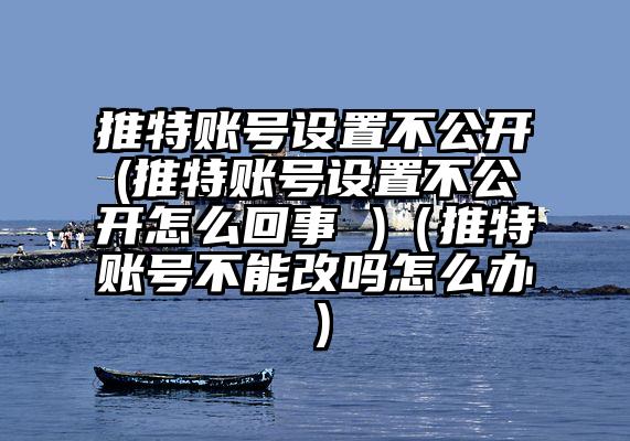 推特账号设置不公开(推特账号设置不公开怎么回事 )（推特账号不能改吗怎么办）