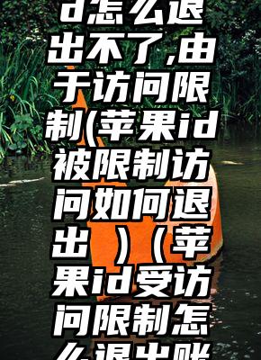 美国苹果id怎么退出不了,由于访问限制(苹果id被限制访问如何退出 )（苹果id受访问限制怎么退出账号）