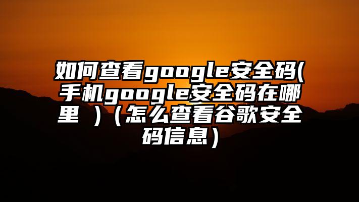 如何查看google安全码(手机google安全码在哪里 )（怎么查看谷歌安全码信息）