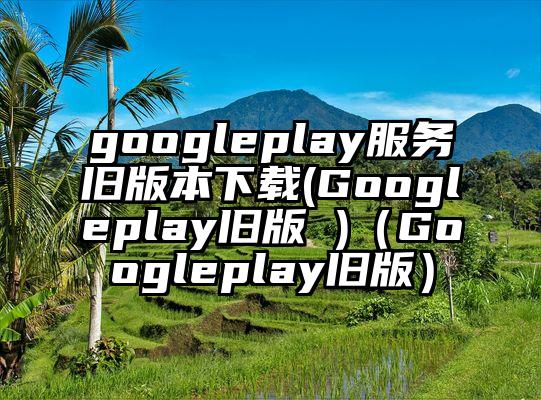 googleplay服务旧版本下载(Googleplay旧版 )（Googleplay旧版）