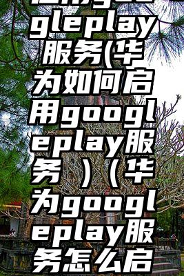 启用googleplay服务(华为如何启用googleplay服务 )（华为googleplay服务怎么启用）