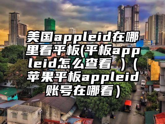 美国appleid在哪里看平板(平板appleid怎么查看 )（苹果平板appleid账号在哪看）