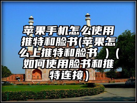 苹果手机怎么使用推特和脸书(苹果怎么上推特和脸书 )（如何使用脸书和推特连接）