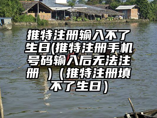 推特注册输入不了生日(推特注册手机号码输入后无法注册 )（推特注册填不了生日）