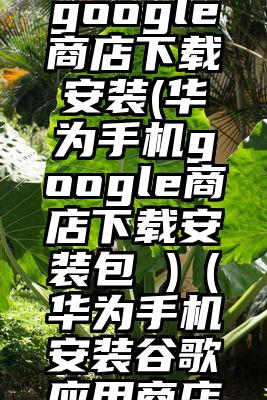 华为手机google商店下载安装(华为手机google商店下载安装包 )（华为手机安装谷歌应用商店）