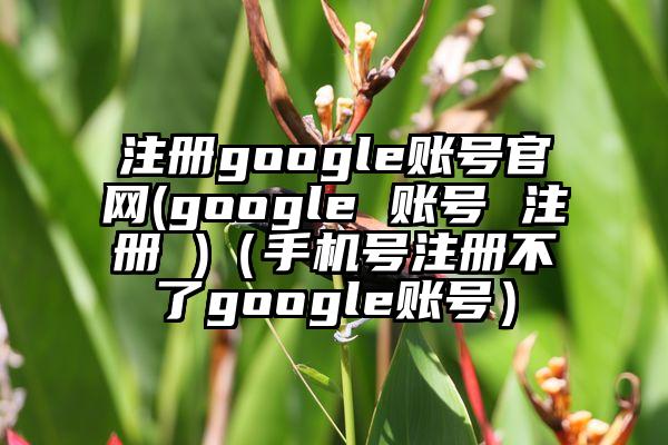 注册google账号官网(google 账号 注册 )（手机号注册不了google账号）