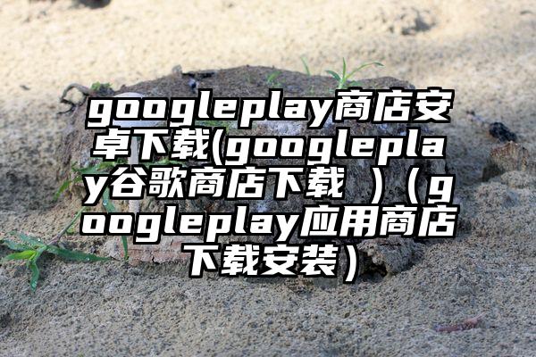 googleplay商店安卓下载(googleplay谷歌商店下载 )（googleplay应用商店下载安装）