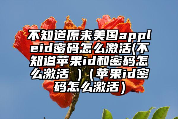 不知道原来美国appleid密码怎么激活(不知道苹果id和密码怎么激活 )（苹果id密码怎么激活）