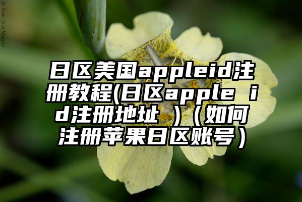 日区美国appleid注册教程(日区apple id注册地址 )（如何注册苹果日区账号）