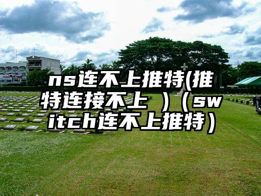 ns连不上推特(推特连接不上 )（switch连不上推特）