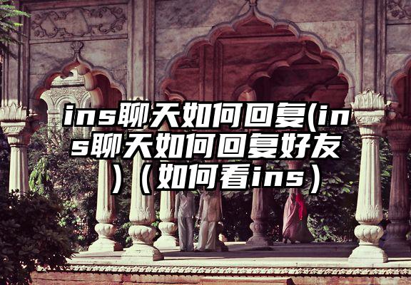 ins聊天如何回复(ins聊天如何回复好友 )（如何看ins）