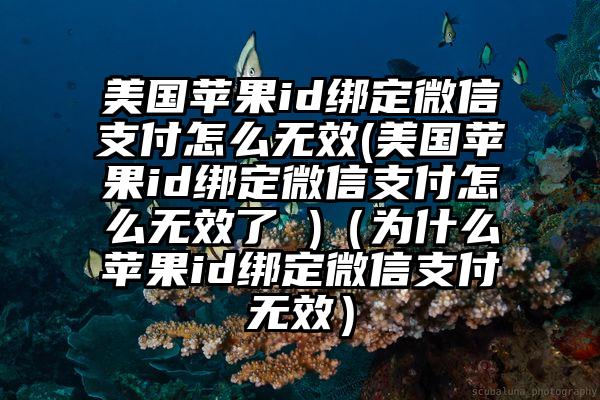 美国苹果id绑定微信支付怎么无效(美国苹果id绑定微信支付怎么无效了 )（为什么苹果id绑定微信支付无效）