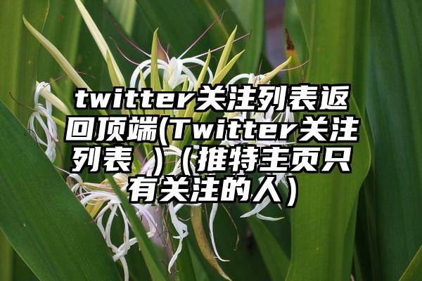 twitter关注列表返回顶端(Twitter关注列表 )（推特主页只有关注的人）