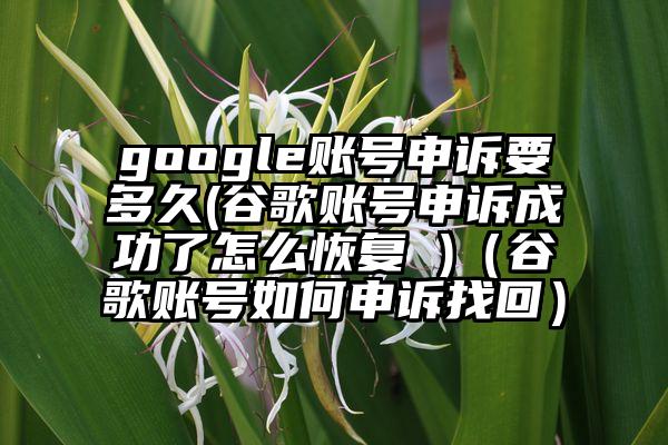 google账号申诉要多久(谷歌账号申诉成功了怎么恢复 )（谷歌账号如何申诉找回）