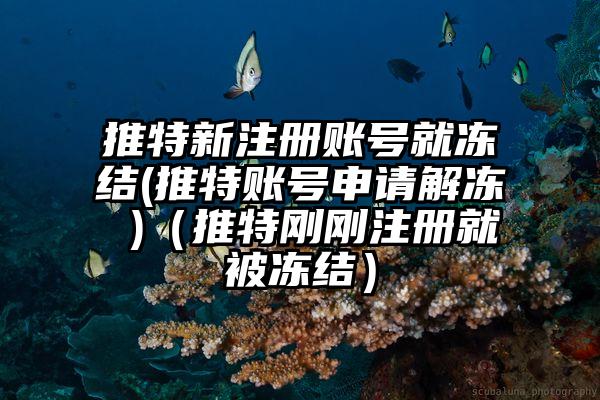 推特新注册账号就冻结(推特账号申请解冻 )（推特刚刚注册就被冻结）