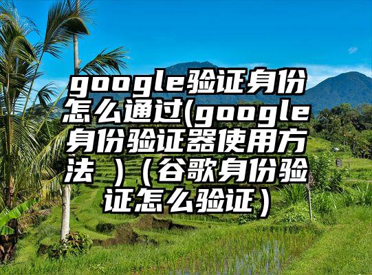 google验证身份怎么通过(google身份验证器使用方法 )（谷歌身份验证怎么验证）