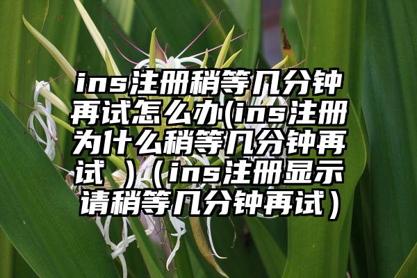 ins注册稍等几分钟再试怎么办(ins注册为什么稍等几分钟再试 )（ins注册显示请稍等几分钟再试）