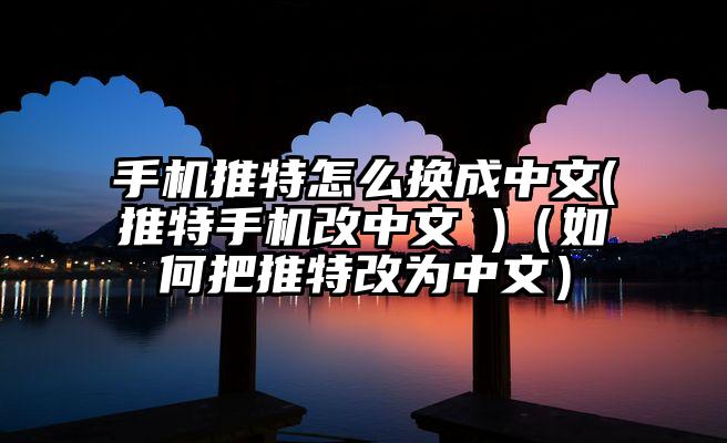 手机推特怎么换成中文(推特手机改中文 )（如何把推特改为中文）