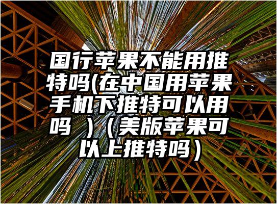 国行苹果不能用推特吗(在中国用苹果手机下推特可以用吗 )（美版苹果可以上推特吗）