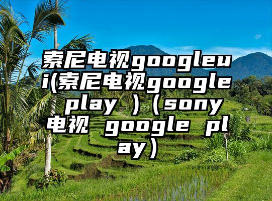 索尼电视googleui(索尼电视google play )（sony电视 google play）