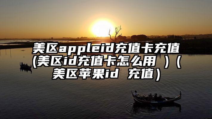 美区appleid充值卡充值(美区id充值卡怎么用 )（美区苹果id 充值）