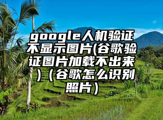 google人机验证不显示图片(谷歌验证图片加载不出来 )（谷歌怎么识别照片）