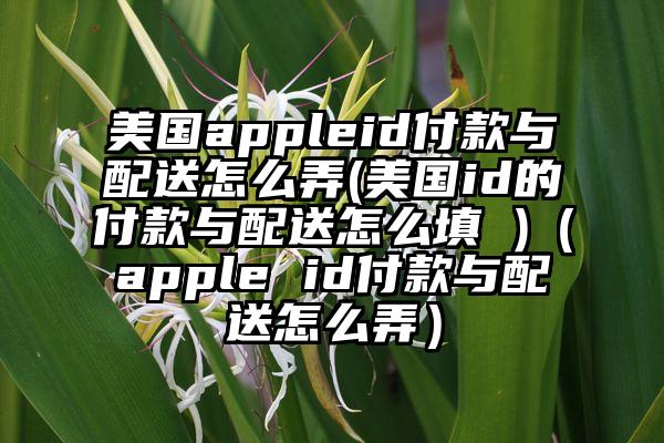 美国appleid付款与配送怎么弄(美国id的付款与配送怎么填 )（apple id付款与配送怎么弄）