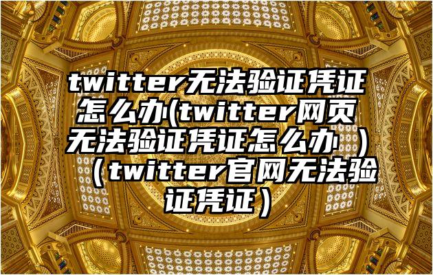 twitter无法验证凭证怎么办(twitter网页无法验证凭证怎么办 )（twitter官网无法验证凭证）