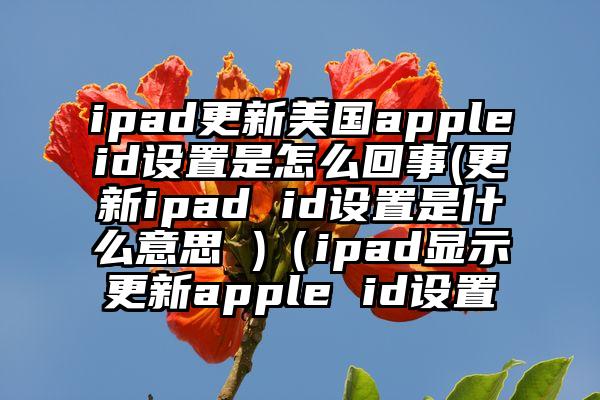 ipad更新美国appleid设置是怎么回事(更新ipad id设置是什么意思 )（ipad显示更新apple id设置