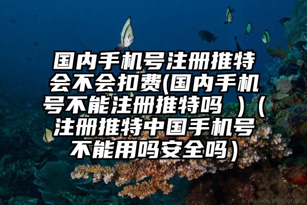 国内手机号注册推特会不会扣费(国内手机号不能注册推特吗 )（注册推特中国手机号不能用吗安全吗）