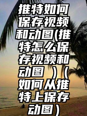 推特如何保存视频和动图(推特怎么保存视频和动图 )（如何从推特上保存动图）