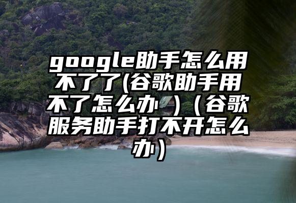 google助手怎么用不了了(谷歌助手用不了怎么办 )（谷歌服务助手打不开怎么办）