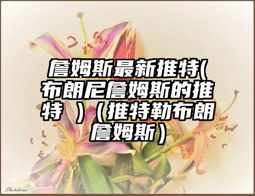 詹姆斯最新推特(布朗尼詹姆斯的推特 )（推特勒布朗詹姆斯）