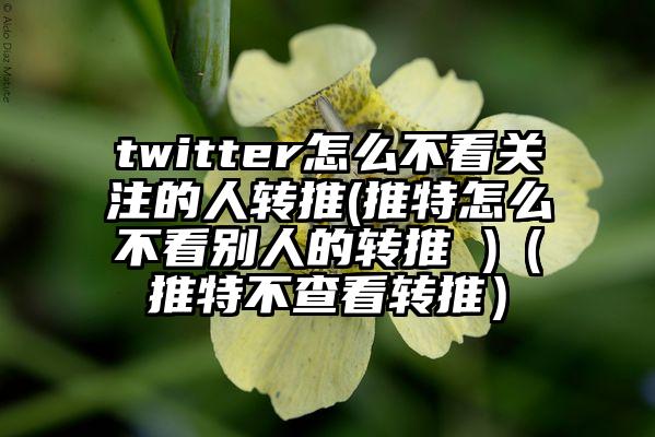 twitter怎么不看关注的人转推(推特怎么不看别人的转推 )（推特不查看转推）