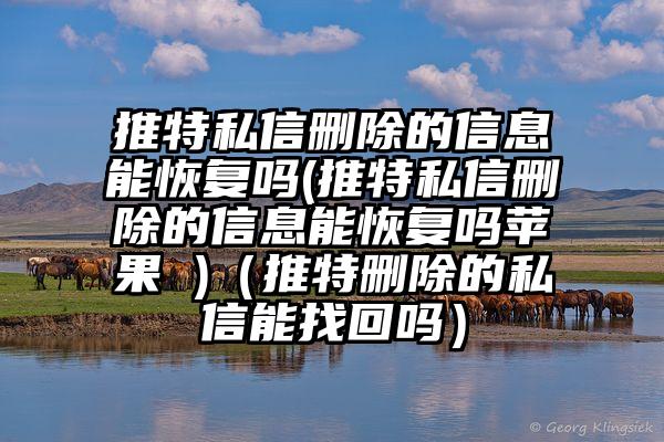 推特私信删除的信息能恢复吗(推特私信删除的信息能恢复吗苹果 )（推特删除的私信能找回吗）