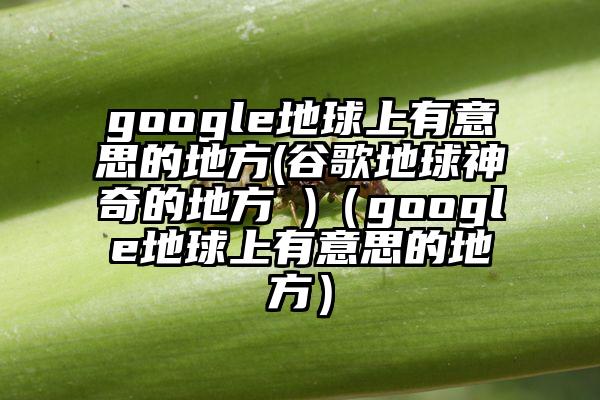 google地球上有意思的地方(谷歌地球神奇的地方 )（google地球上有意思的地方）