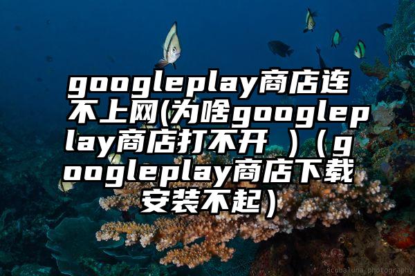 googleplay商店连不上网(为啥googleplay商店打不开 )（googleplay商店下载安装不起）