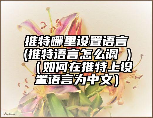 推特哪里设置语言(推特语言怎么调 )（如何在推特上设置语言为中文）