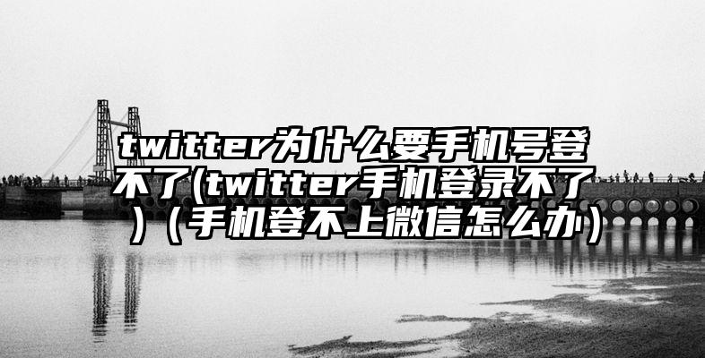 twitter为什么要手机号登不了(twitter手机登录不了 )（手机登不上微信怎么办）