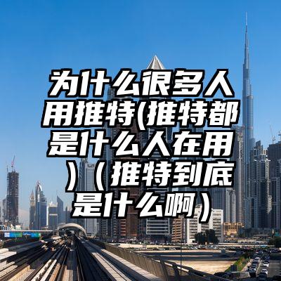 为什么很多人用推特(推特都是什么人在用 )（推特到底是什么啊）