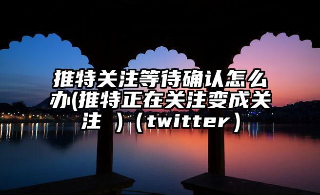 推特关注等待确认怎么办(推特正在关注变成关注 )（twitter）