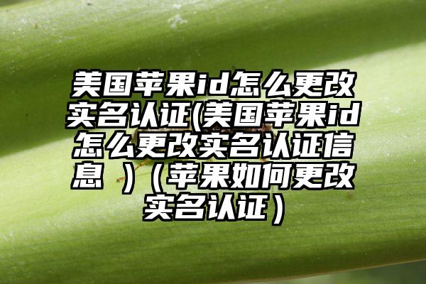 美国苹果id怎么更改实名认证(美国苹果id怎么更改实名认证信息 )（苹果如何更改实名认证）