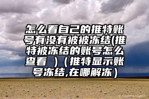 怎么看自己的推特账号有没有被被冻结(推特被冻结的账号怎么查看 )（推特显示账号冻结,在哪解冻）