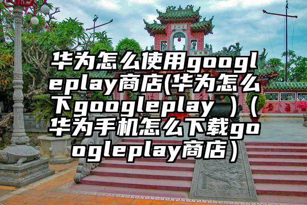 华为怎么使用googleplay商店(华为怎么下googleplay )（华为手机怎么下载googleplay商店）