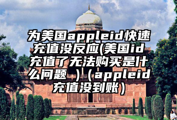 为美国appleid快速充值没反应(美国id充值了无法购买是什么问题 )（appleid充值没到账）